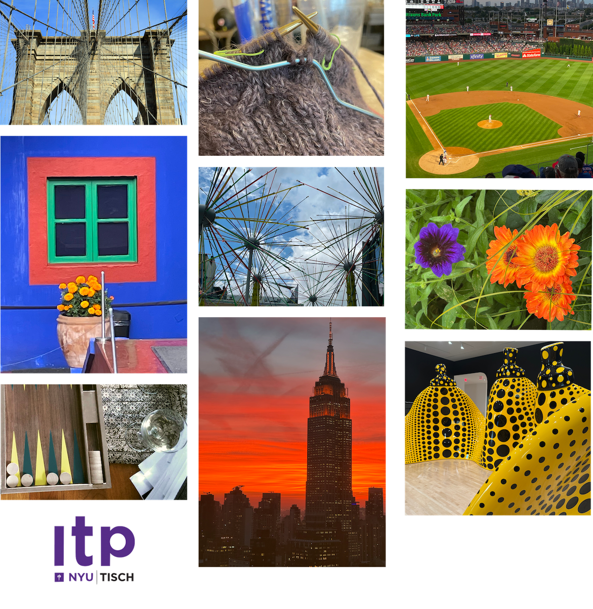A collage of six images including a bridge, a baseball game, a street sign reading 'Boerum Pl,' a modern glass sculpture, a stack of books with a skull decoration, and a person knitting.
